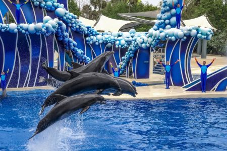 3 Days / 2 Nights SeaWorld Vacation Package