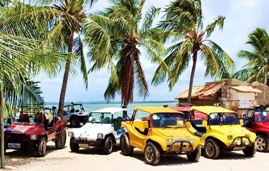 8 Days / 7 Nights in Salvador & Praia do Forte – Luxury All-Inclusive Escape